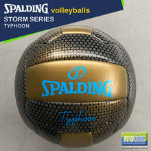 Load image into Gallery viewer, SPALDING Storm Series Original Beach Volleyball