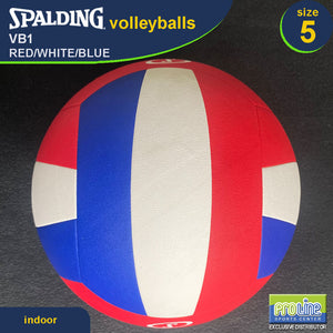 SPALDING VB1 Original Indoor Volleyball