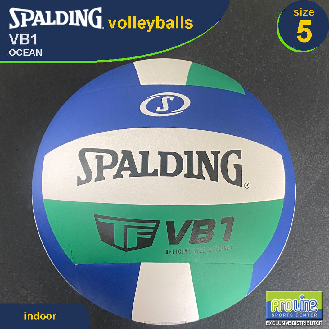 SPALDING VB1 Original Indoor Volleyball