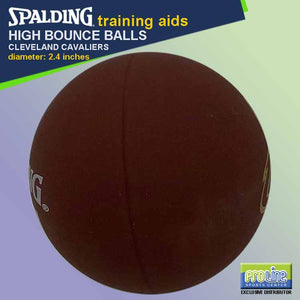 SPALDING High Bounce Ball Original Accessory and Training Aid